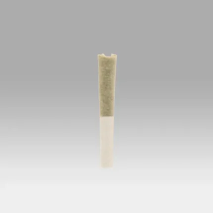 Biscotti x Sherb Pre Roll Pack - Cookies Dispensary