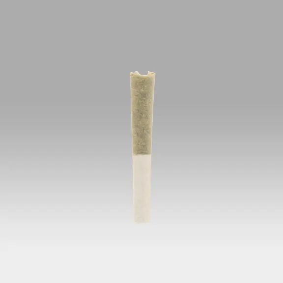 Biscotti x Sherb Pre Roll Pack - Cookies Dispensary