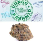 Congo Kashmir Strain - Cookies Dispensary