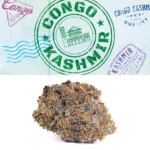 Congo Kashmir Strain - Cookies Dispensary