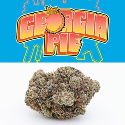 Georgia Pie Strain