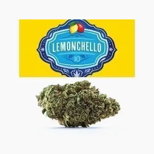 Lemonchello 10 Strain Lemonchello 10 Strain