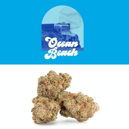 Ocean Beach Strain
