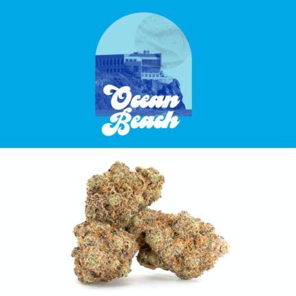 Ocean Beach Strain