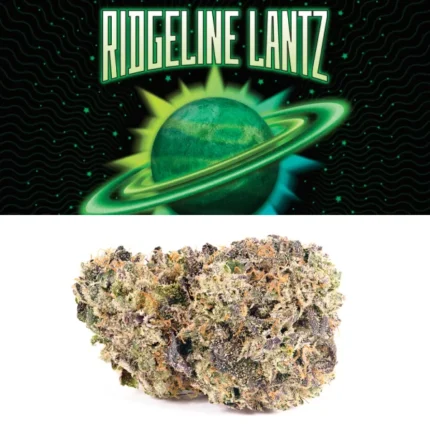 Ridgeline Lantz Strain