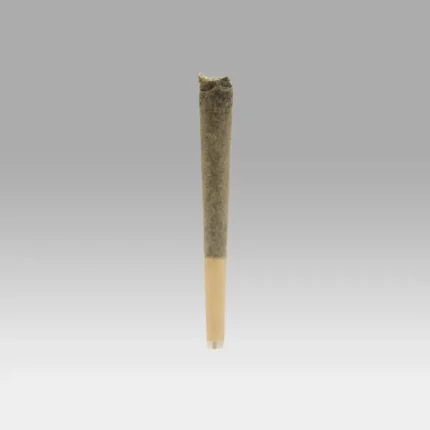 Strawnana Infused Pre Roll Pack - Cookies Dispensary