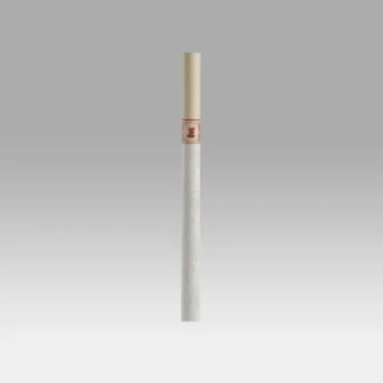 Sunny Daze 35'S 10 TALL PACK - Cookies Dispensary