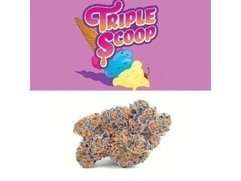 Triple Scoop Strain - Cookies Dispensary Triple Scoop Strain - Cookies Dispensary